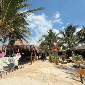 Hotel La Diosa Kali Front Holbox